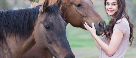 Pferdegestütztes Coaching